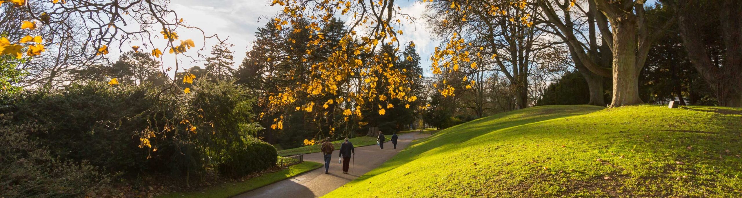 Top tips for putting your garden to bed