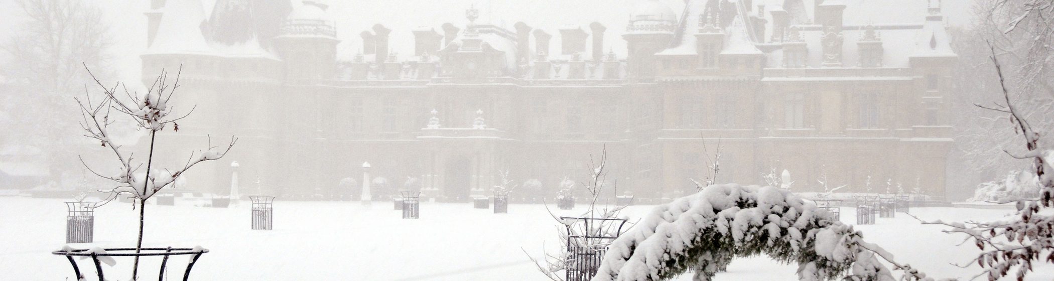 Essential Tips for Maintaining Your Garden During the Winter