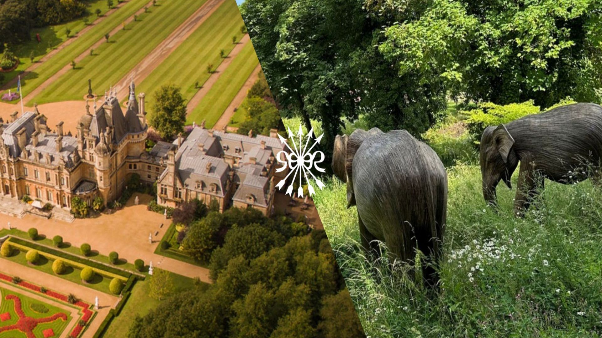 Water Garden Walk & Cream Tea with Grounds Admission