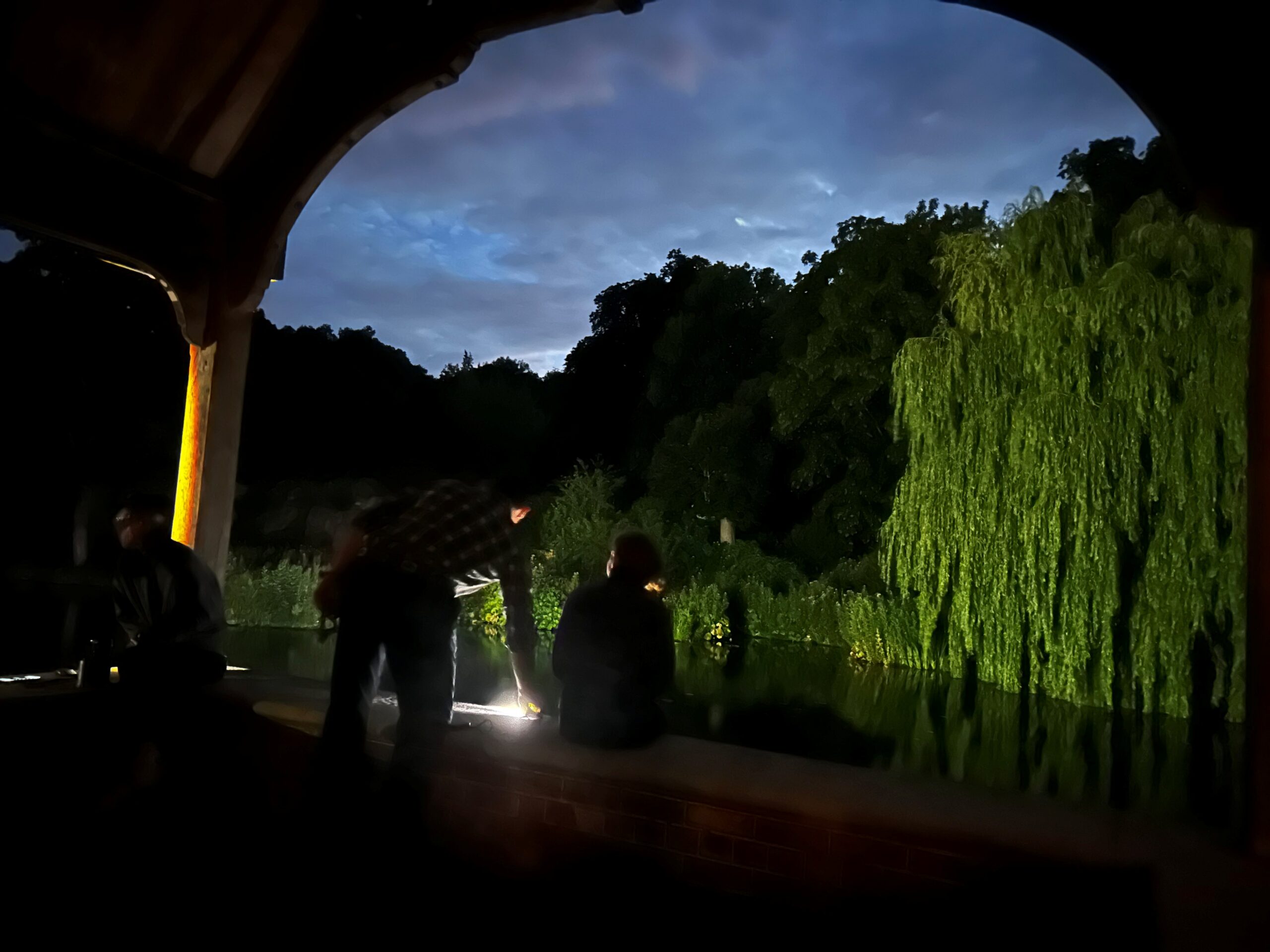 Discovering the Hidden World of Bats at Waddesdon Manor