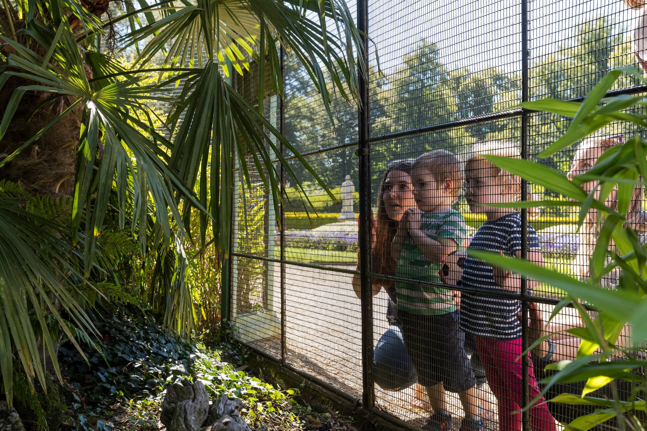 Family Days Out During the Summer Holidays at Waddesdon Manor
