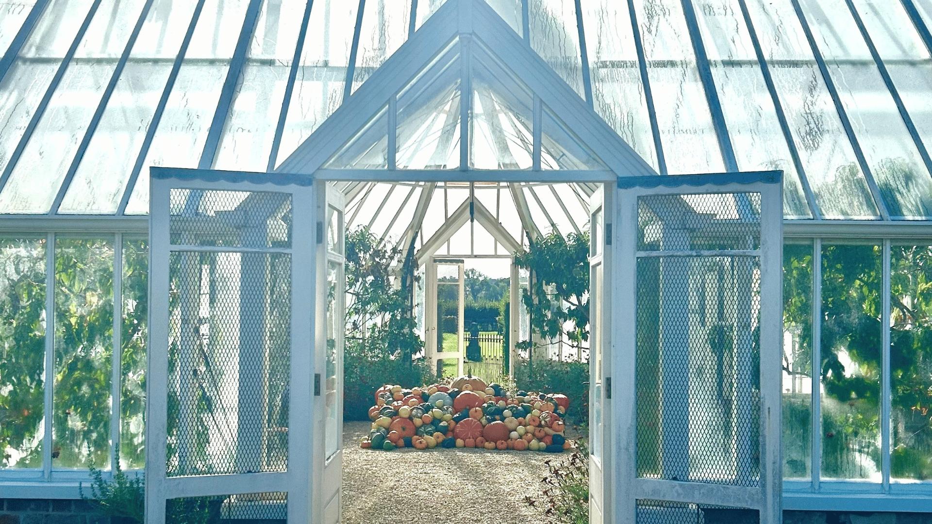 Autumn at Eythrope Gardens