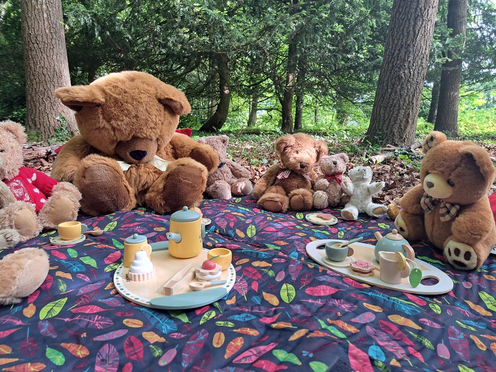 Teddy bear picnic